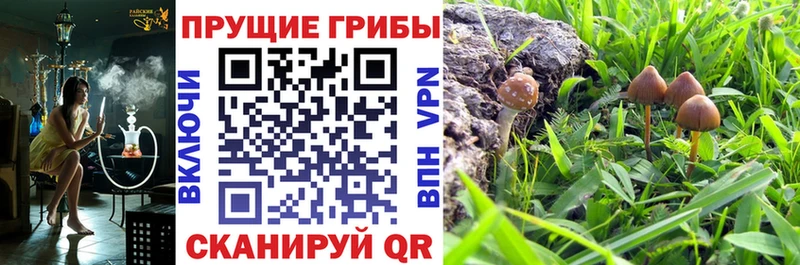 Галлюциногенные грибы Cubensis  Лиски 