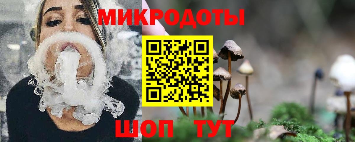 Псилоцибиновые грибы Psilocybine cubensis Лиски