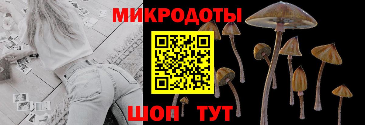 Галлюциногенные грибы GOLDEN TEACHER  Вход с VPN  наркотики  Лиски 